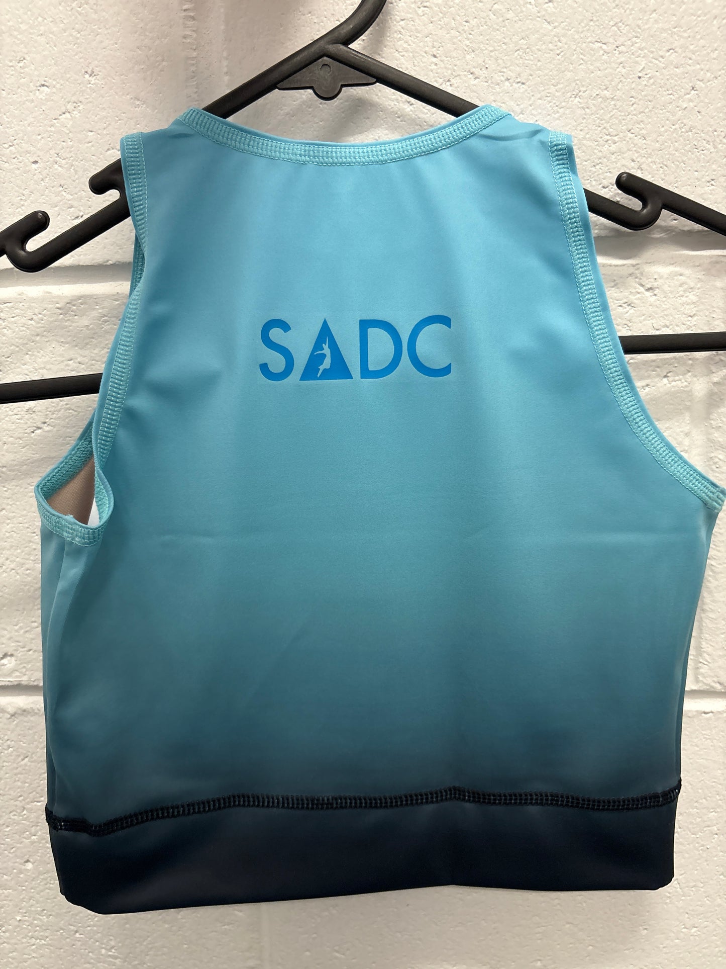 Gradient crop top